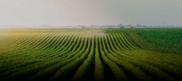 Nachhaltigkeit ist ein wichtiger Aspekt unserer Mission. <br>Wir haben schon 1700 Kilo unnötiges Plastik gespart